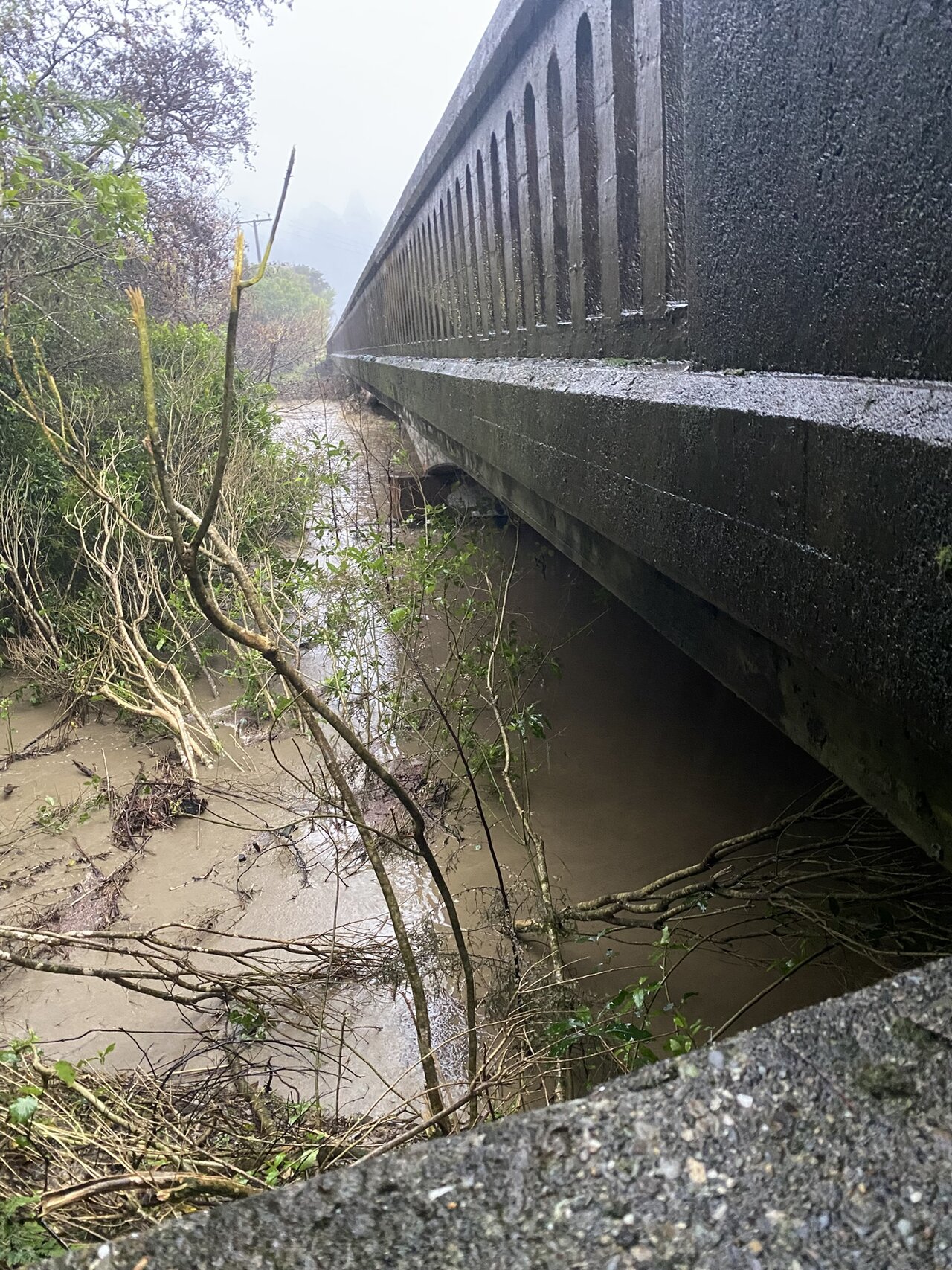 New Zealand Evacuates North Island After Floods, Landslides New Zealand Evacuates North Island After Floods, Landslides