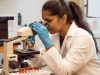 Scientists Reveal 3D Nanoscale View of T Cell Dome Attacking Cancer Scientists Reveal 3D Nanoscale View of T Cell Dome Attacking Cancer