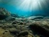 Study Finds Cascadia and San Andreas Faults Could Trigger Each Other Study Finds Cascadia and San Andreas Faults Could Trigger Each Other