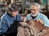 Whale-Sized Octopuses May Have Ruled Cretaceous Seas Paleontologists